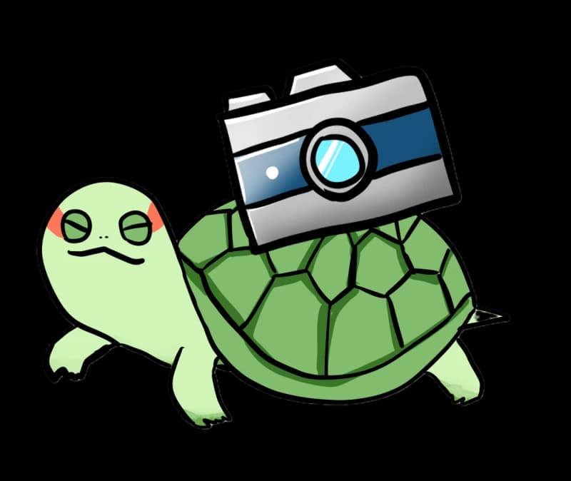カメラを背負った亀